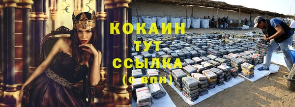 PSILOCYBIN Зерноград