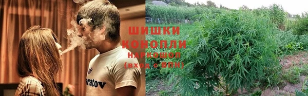 PSILOCYBIN Зерноград