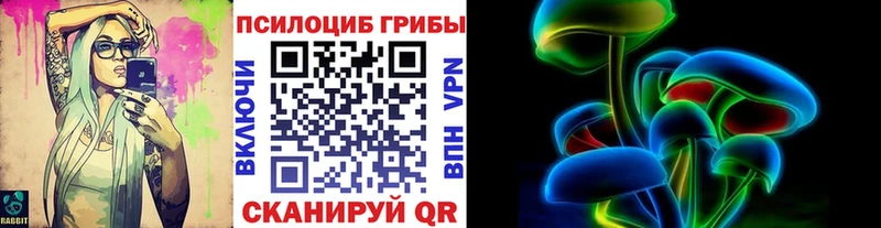 Галлюциногенные грибы мицелий  blacksprut онион  Кадников  купить наркотик 